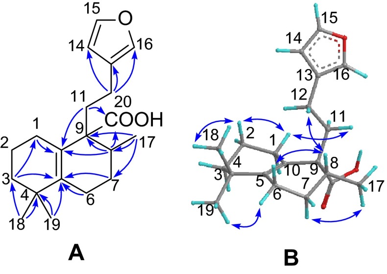 Fig. 1