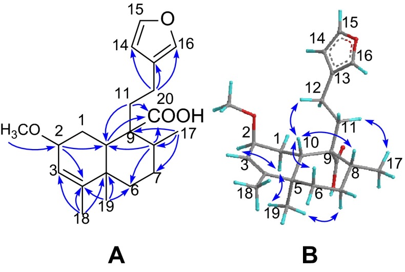 Fig. 2