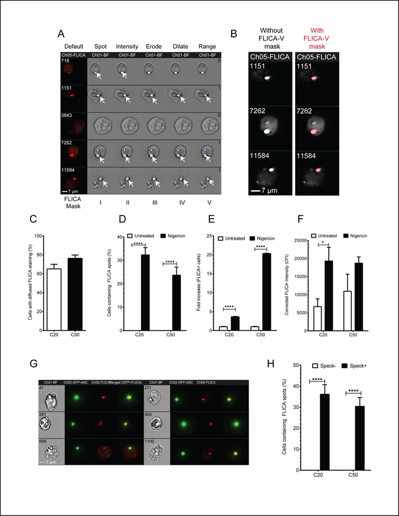 Figure 6: