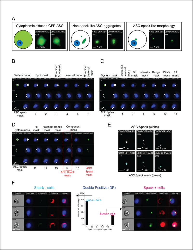 Figure 2: