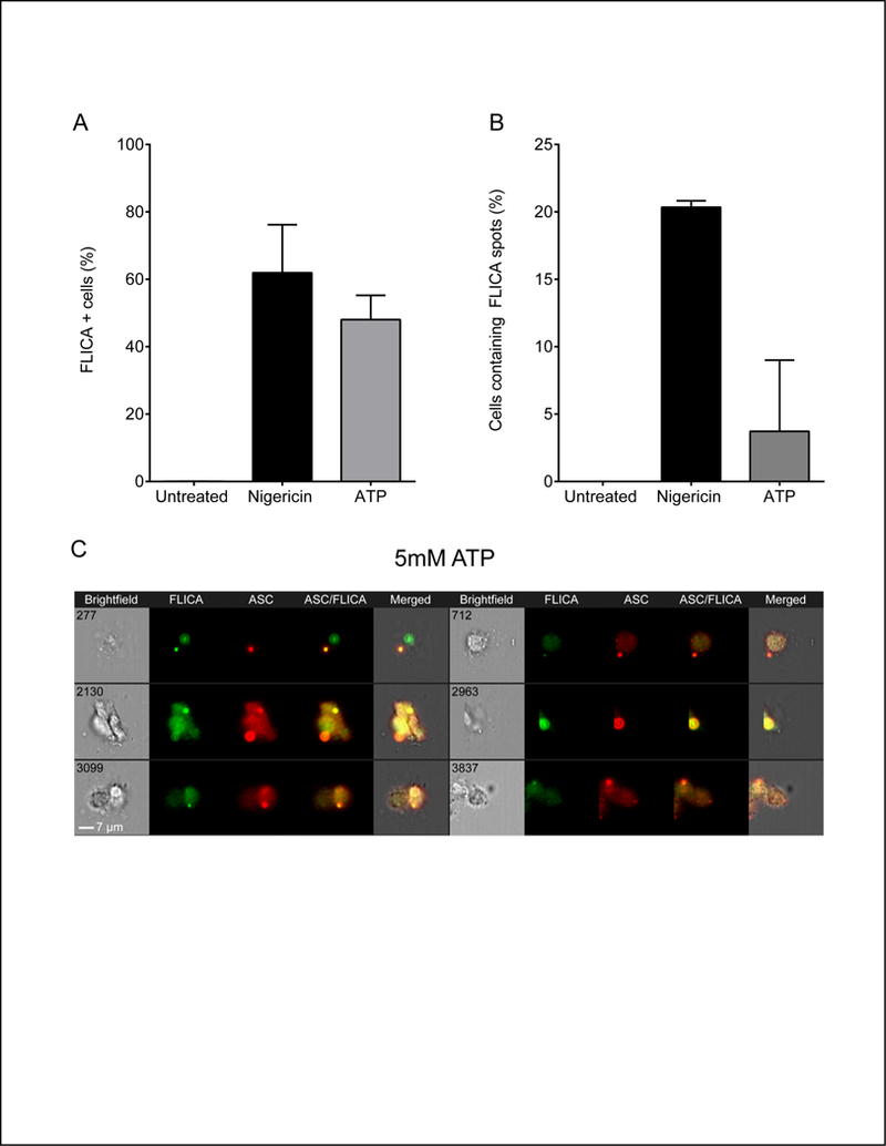 Figure 7: