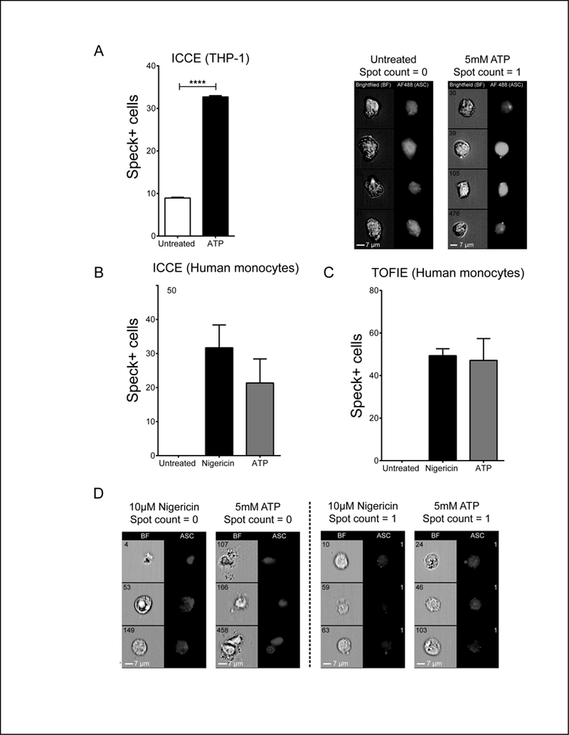 Figure 4: