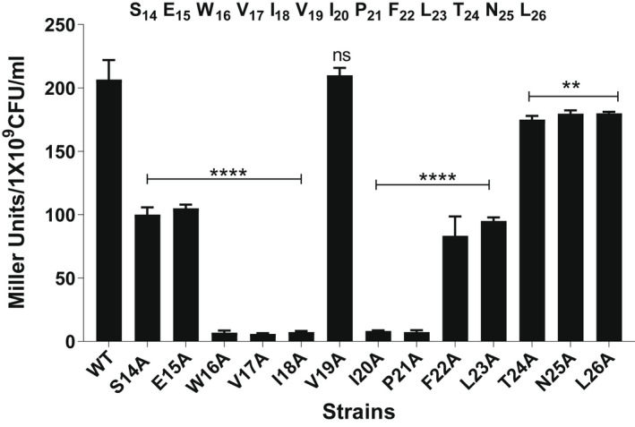 FIGURE 2