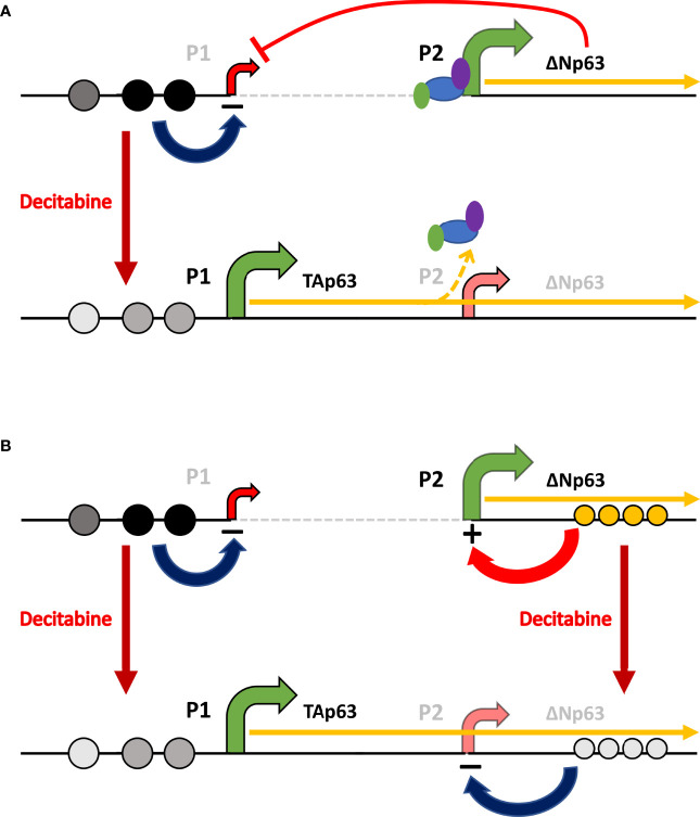 Figure 10