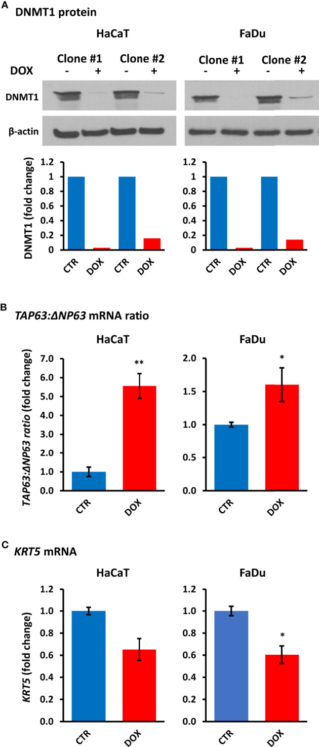 Figure 5