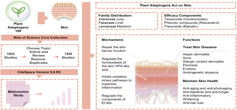 graphic file with name DDDT-17-341-g0001.jpg