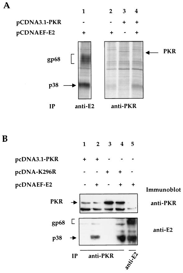 FIG. 6.