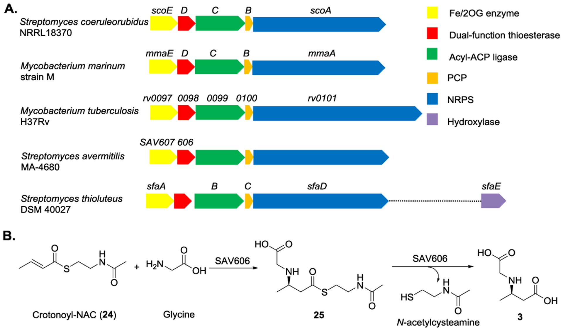 Figure 10