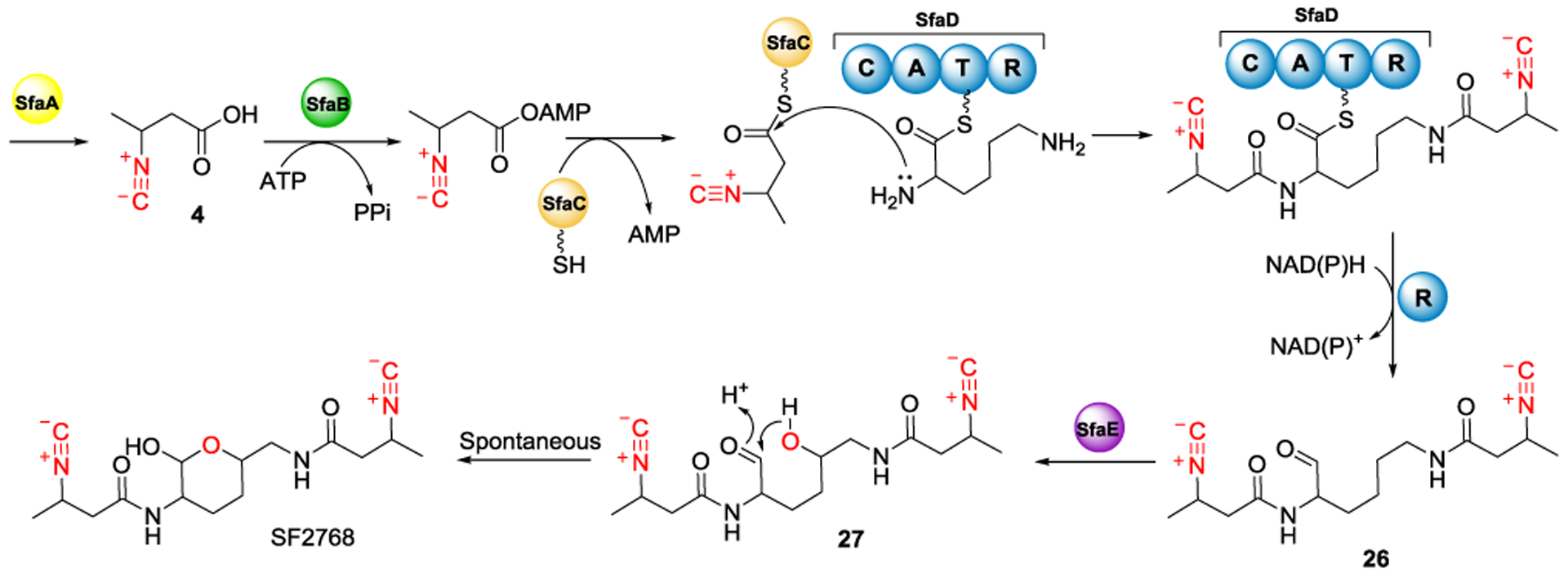 Figure 11