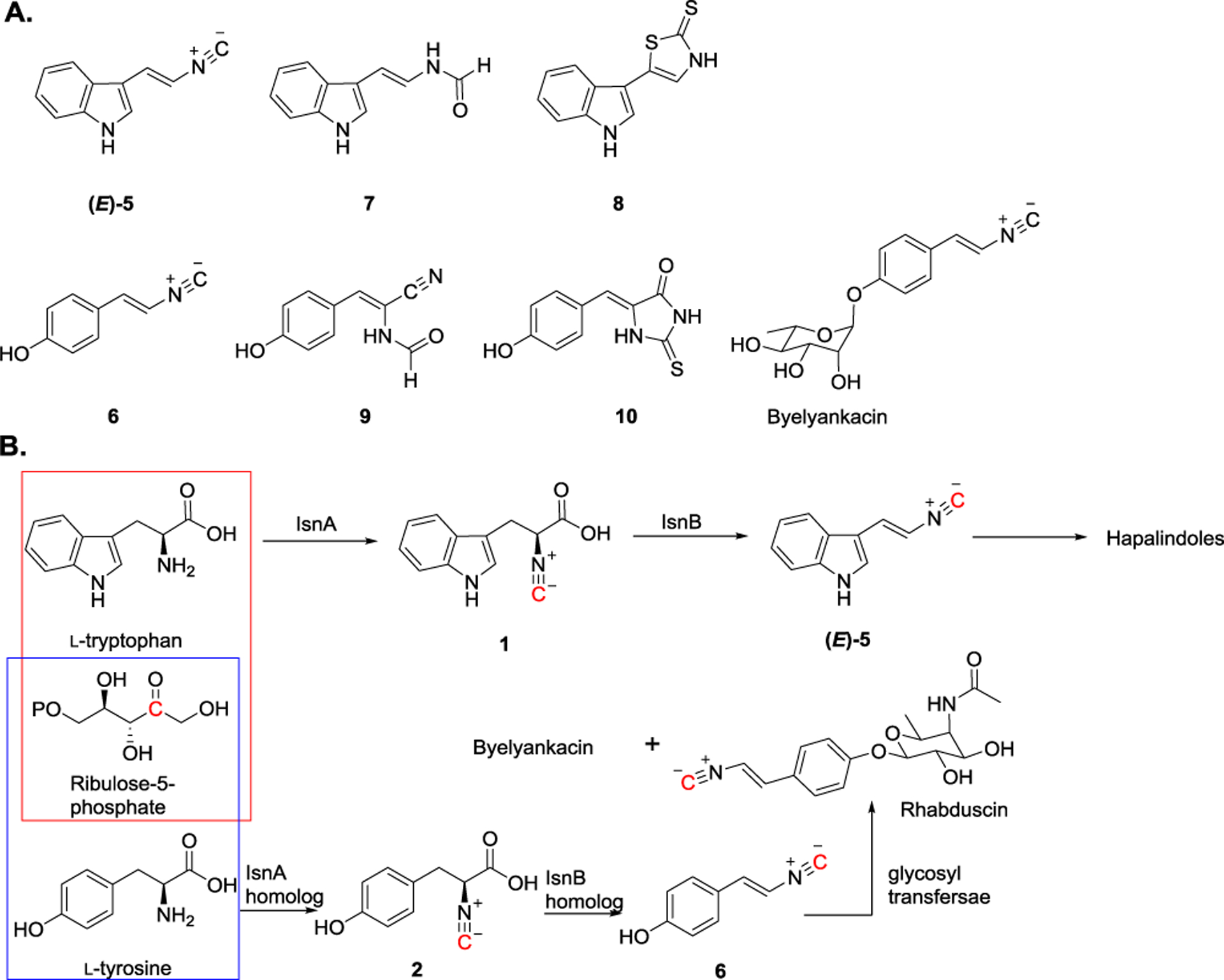 Figure 4