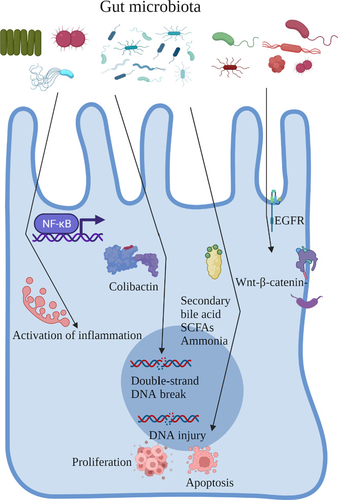 Figure 2