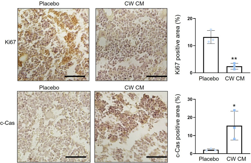 Figure 3—figure supplement 3.