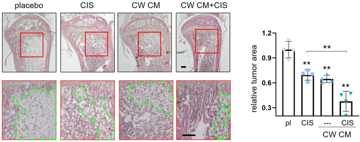 Figure 3—figure supplement 1.