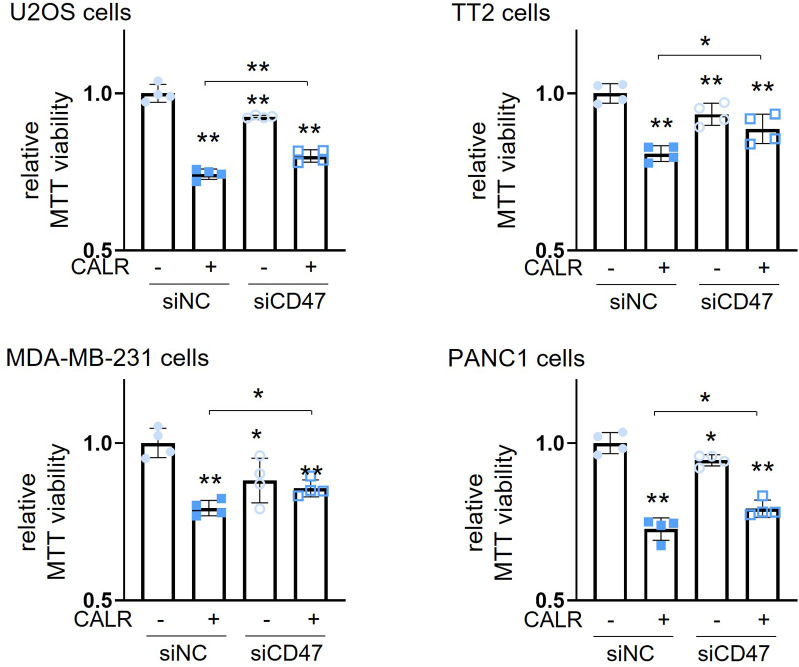 Figure 5—figure supplement 4.