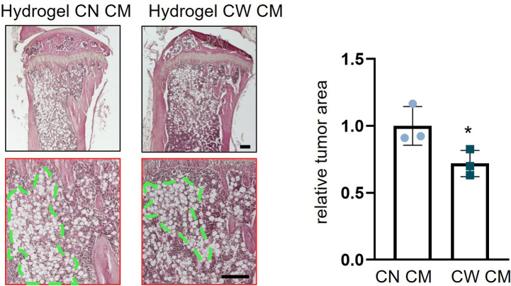 Figure 3—figure supplement 2.