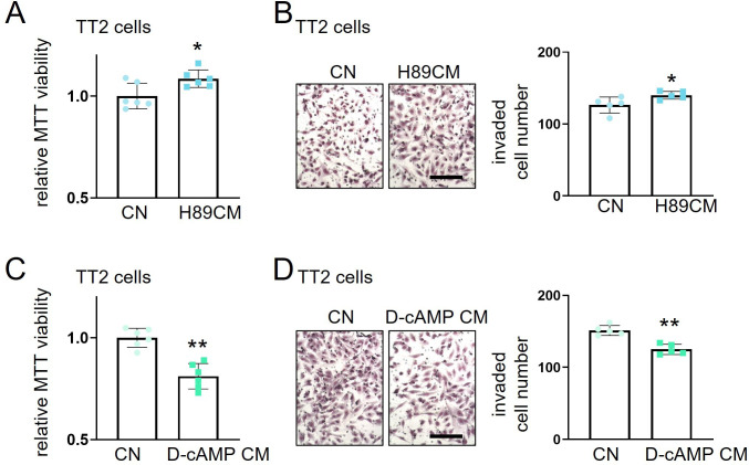 Figure 1—figure supplement 1.