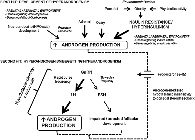 FIG. 4.