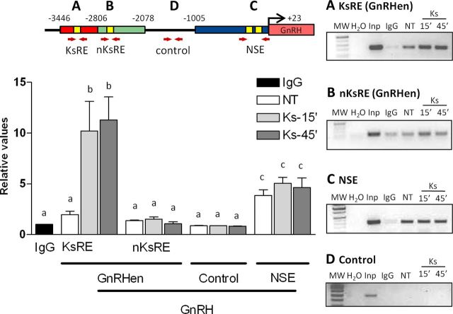 Figure 4.