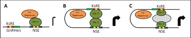 Figure 7.