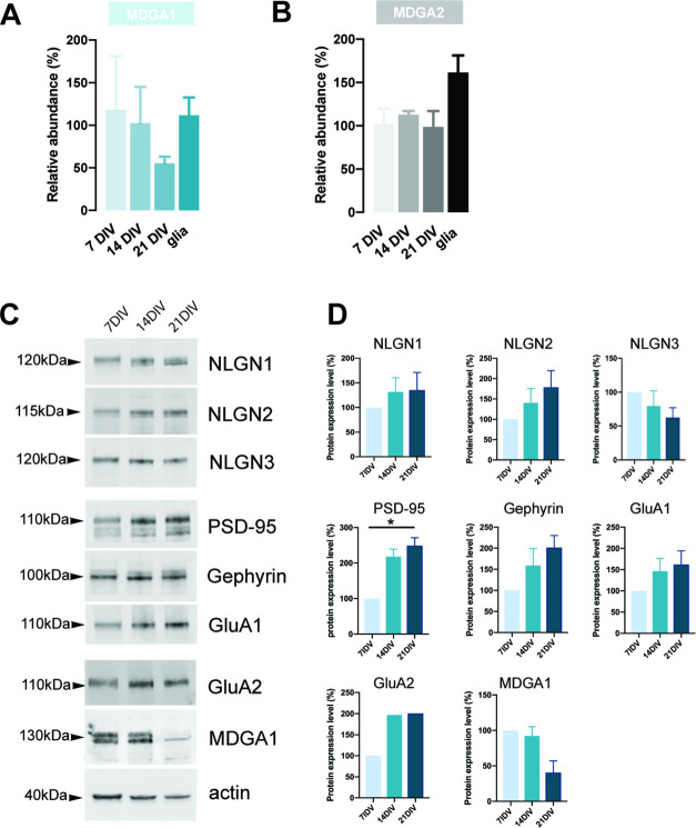 Figure 1—figure supplement 1.