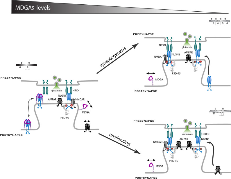 Figure 10.