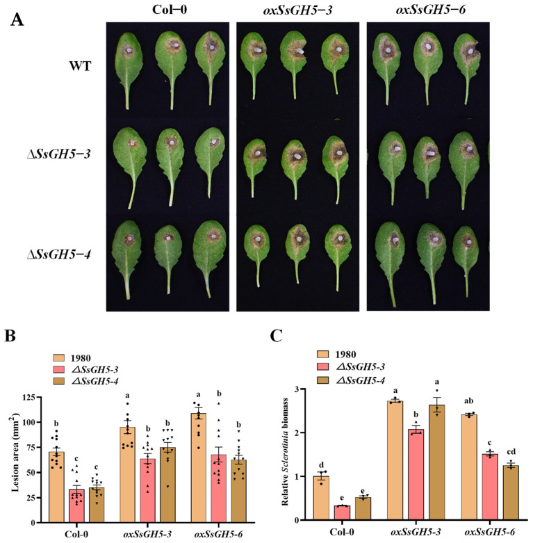 Figure 5