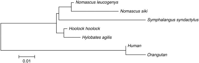 Figure 6.