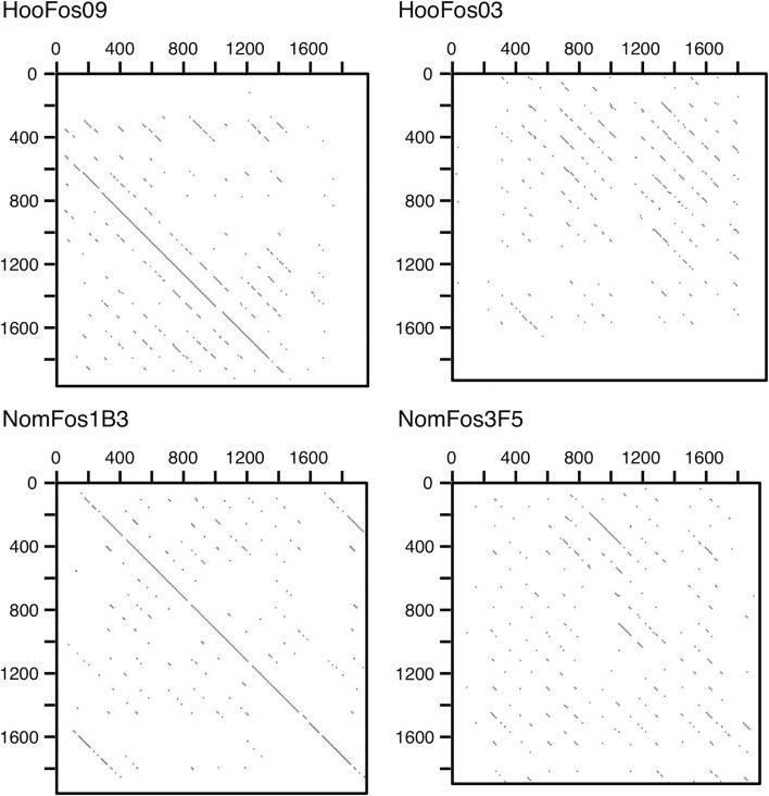 Figure 2.