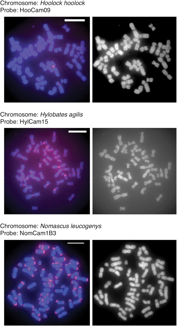 Figure 5.