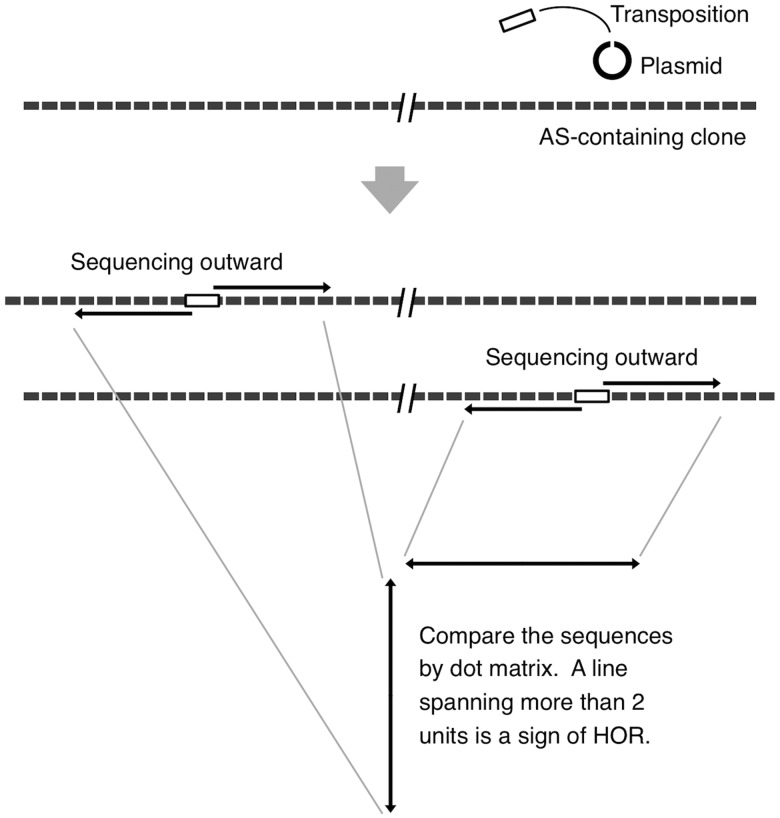 Figure 1.