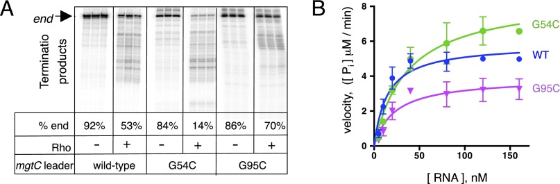 Fig. S1.