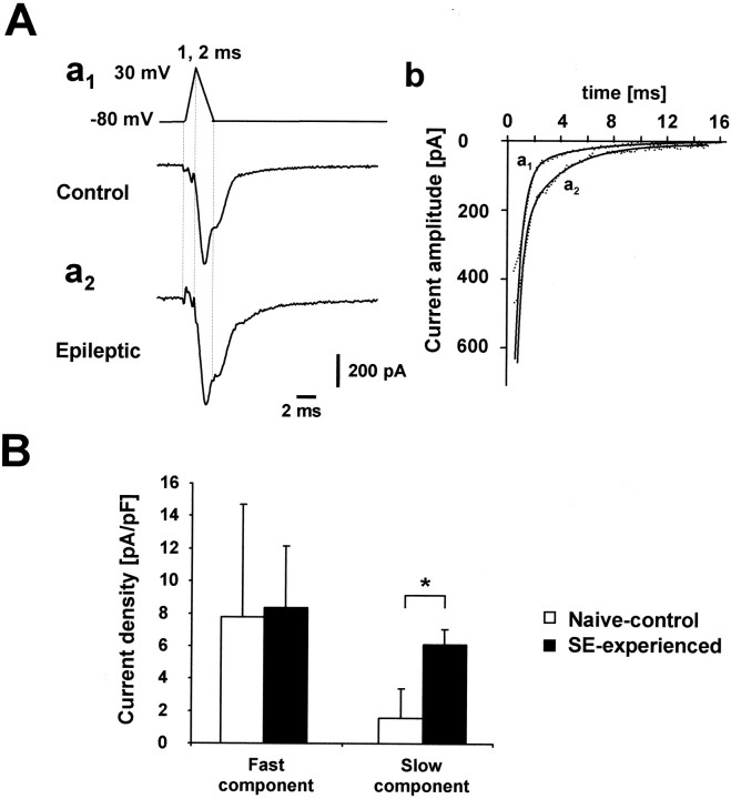 Fig. 7.