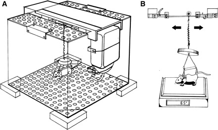 Fig. 1.