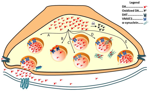 Fig. 1