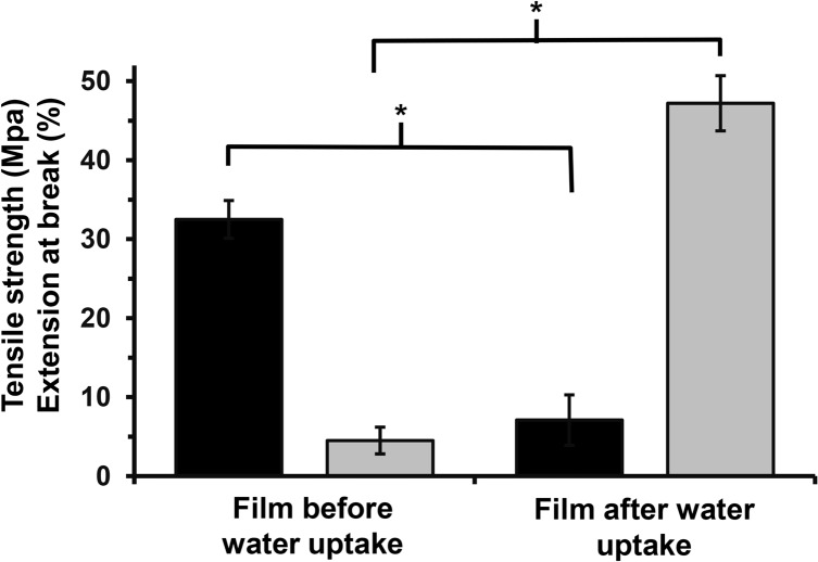 Fig 5