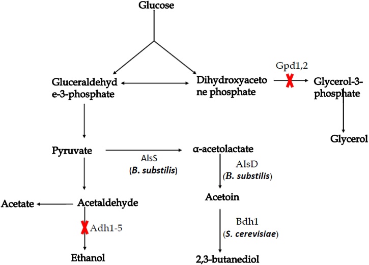 Fig. 5