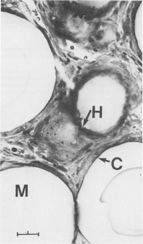 FIG. 8.