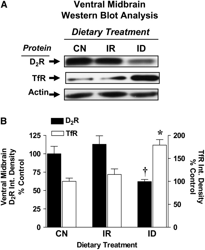 FIGURE 3 