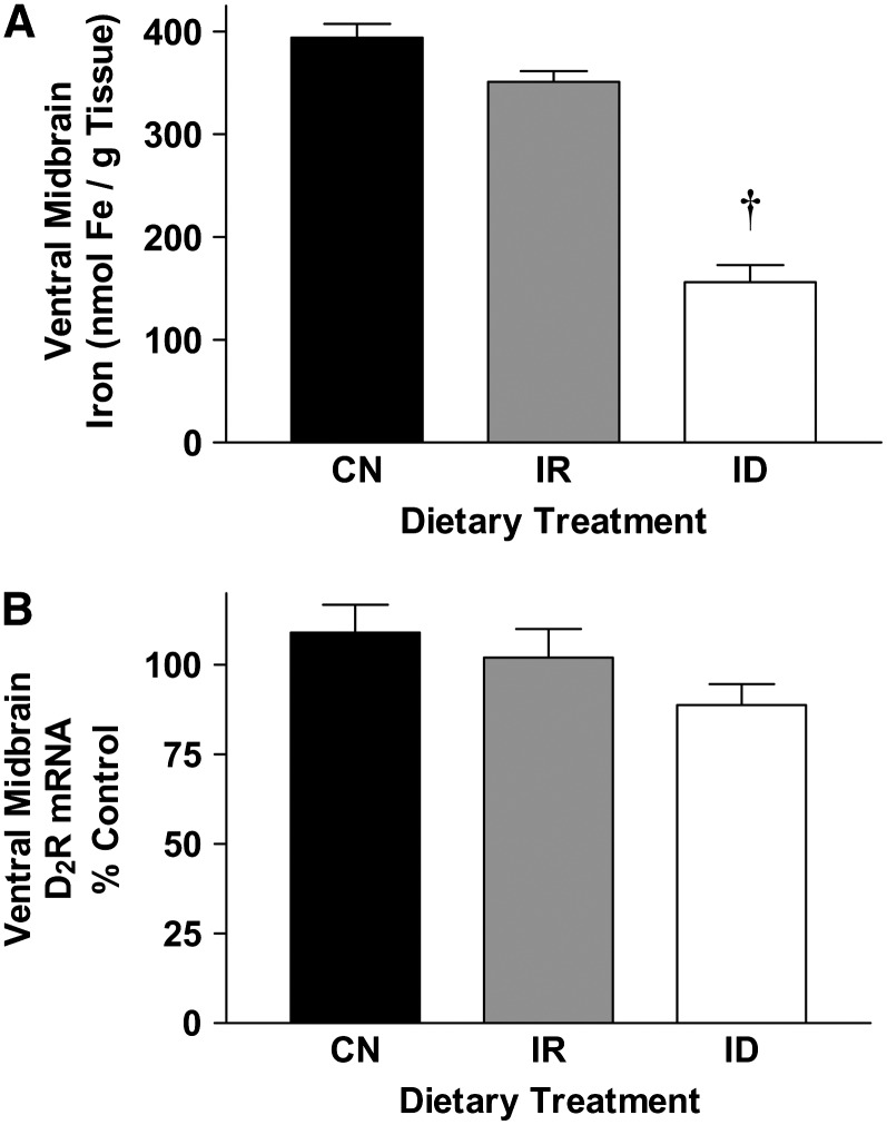 FIGURE 2 