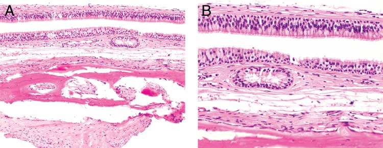 Figure 9.