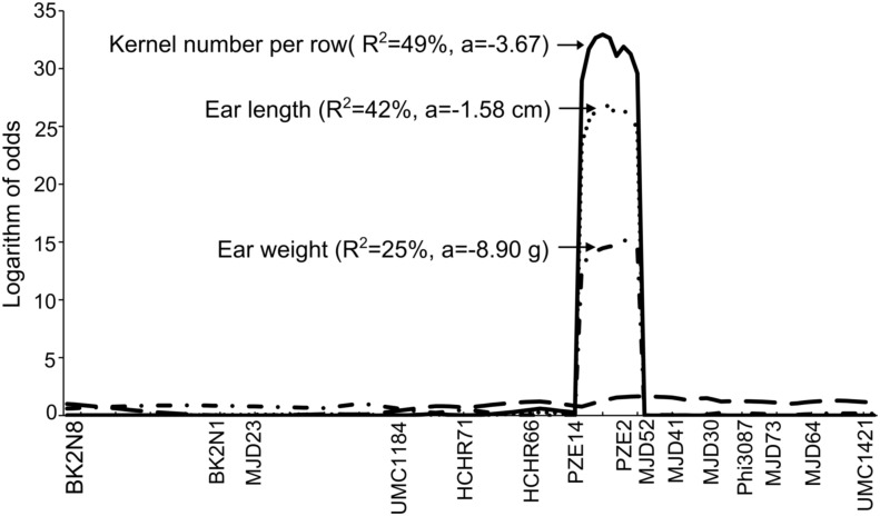 Fig 2