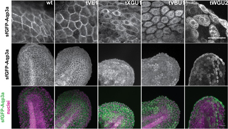 Fig. 3.