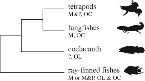 Figure 1.