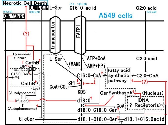 Fig. 6.