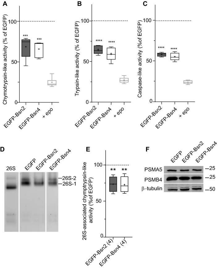 Fig. 4