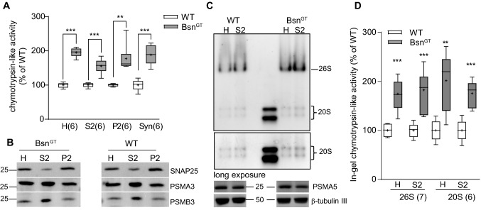 Fig. 6