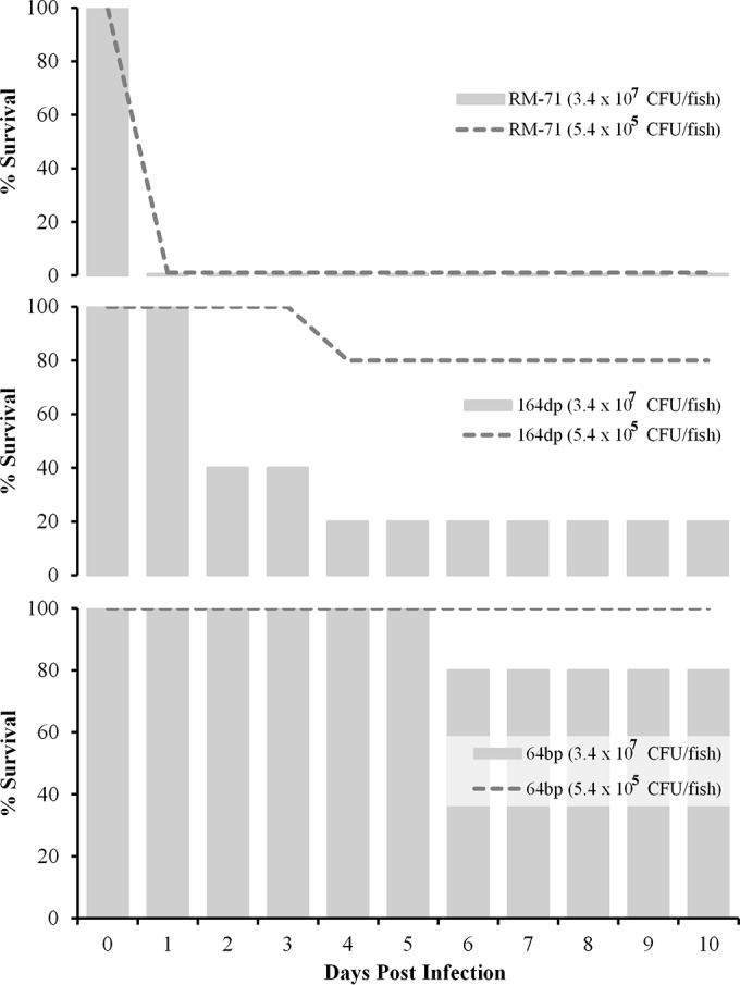 FIG 5