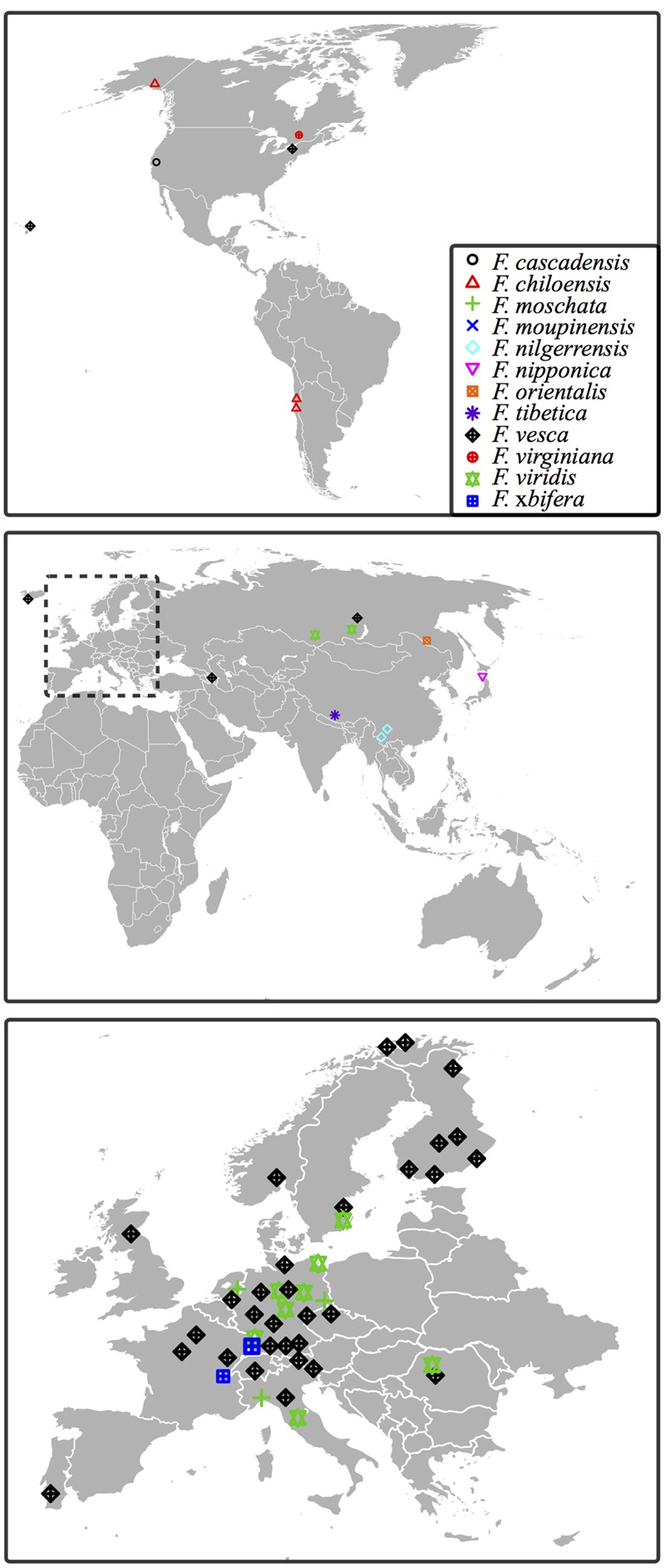 FIGURE 1