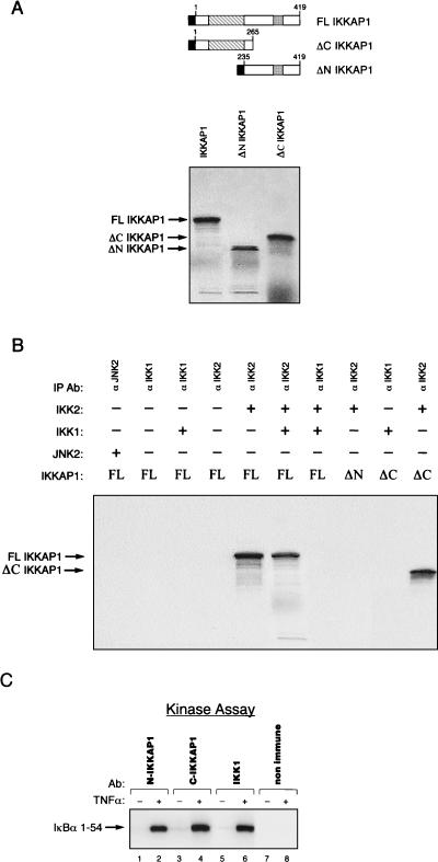 FIG. 5