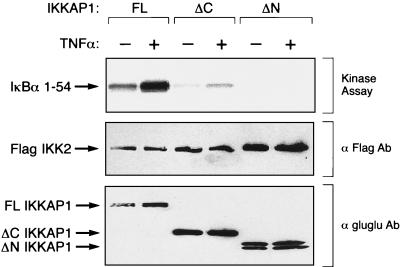 FIG. 6